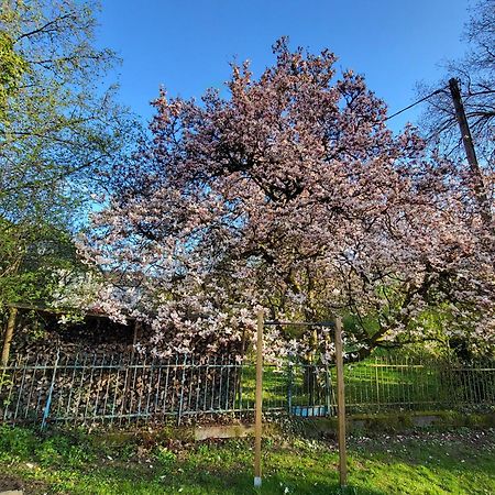 Bergischer Hof - Bergischer Hofgarten Windeck ภายนอก รูปภาพ